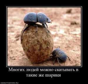 ИМ ДАЖЕ ПШОНКИ НЕ ДАЮТ…