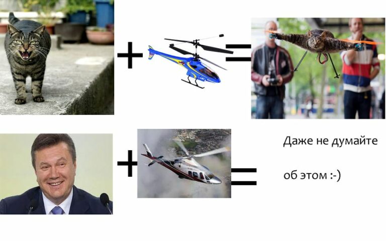 282886 294276514001723 2033314718 n