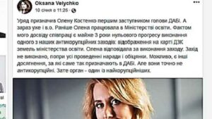 Експерт з державного управління у галузі містобудування пояснив, чому Олена Костенко не може очолювати ДАБІ