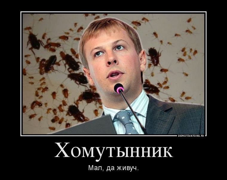 homutyinnik demotivators to