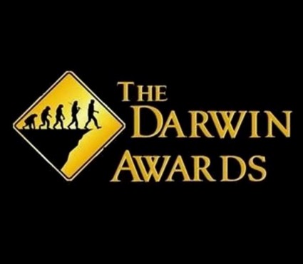 medium darwina4759517f30127b1bb6ac3d.jpg
