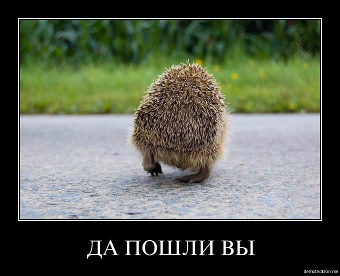 nyqogzgp5dlp