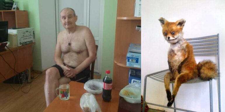 Война за Чауса