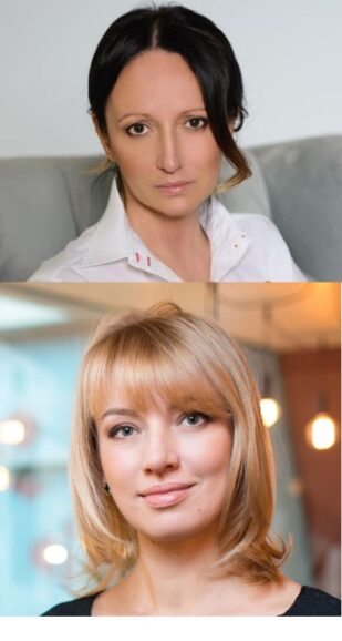 Шуляк — это Молчанова? Молчанова — это Портнов